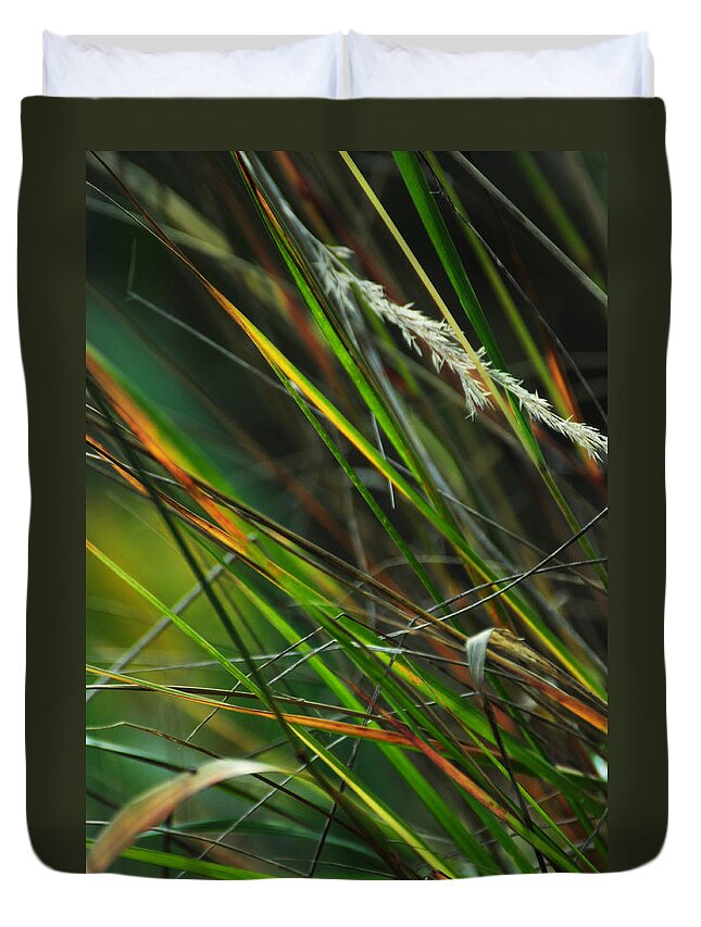 Autumn Duvet Cover featuring the photograph Calamagrostis Lines by Rebecca Sherman