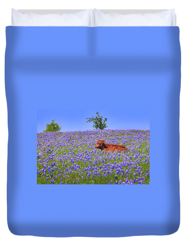 Texas Bluebonnets Duvet Cover featuring the photograph Calf Nestled in Bluebonnets - Texas Wildflowers Landscape Cow by Jon Holiday