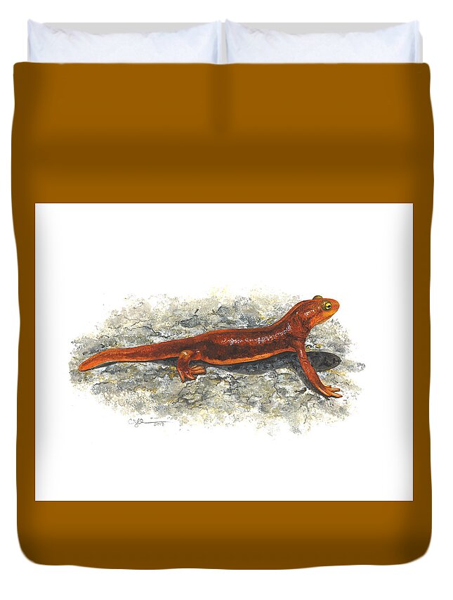 Taricha Duvet Cover featuring the painting California Newt by Cindy Hitchcock