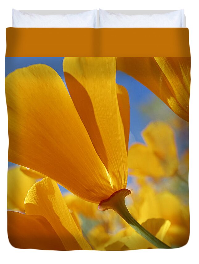Feb0514 Duvet Cover featuring the photograph California Poppies Antelope Valley by Tim Fitzharris