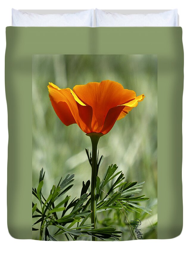 Flower Duvet Cover featuring the photograph California Poppy by Ann Ranlett