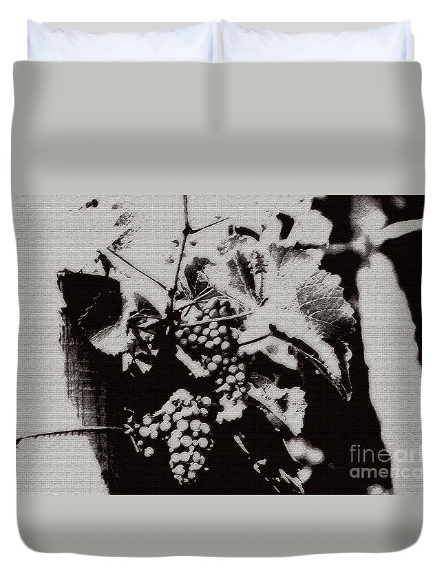 Grape Duvet Cover featuring the photograph California Vineyard by Linda Shafer