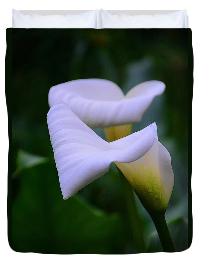 Calla Lily Duvet Cover featuring the photograph Calla Lily 2 by Cindy Manero