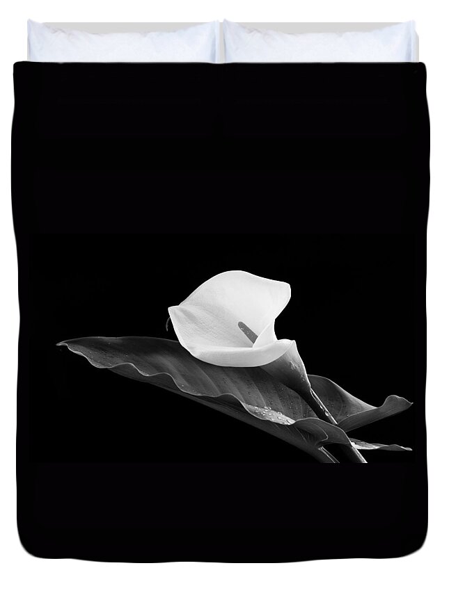 Calla Lili Duvet Cover featuring the photograph Calla lily flower by Michalakis Ppalis