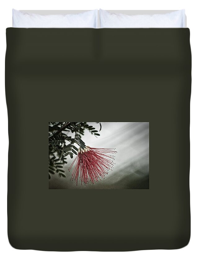 Calliandra Californica Duvet Cover featuring the photograph Calliandra Californica by Stuart Litoff