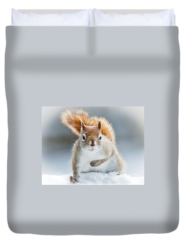 Squirrel Duvet Cover featuring the photograph Can I have some more? by Cheryl Baxter