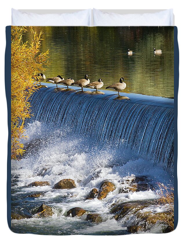 Animal Themes Duvet Cover featuring the photograph Canada Geese And Hydroelectric Power by Mark Miller Photos