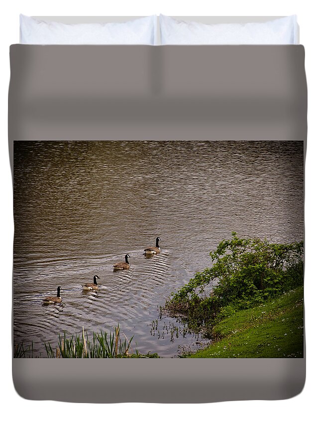 Beak Duvet Cover featuring the photograph Canada Geese by Mark Llewellyn
