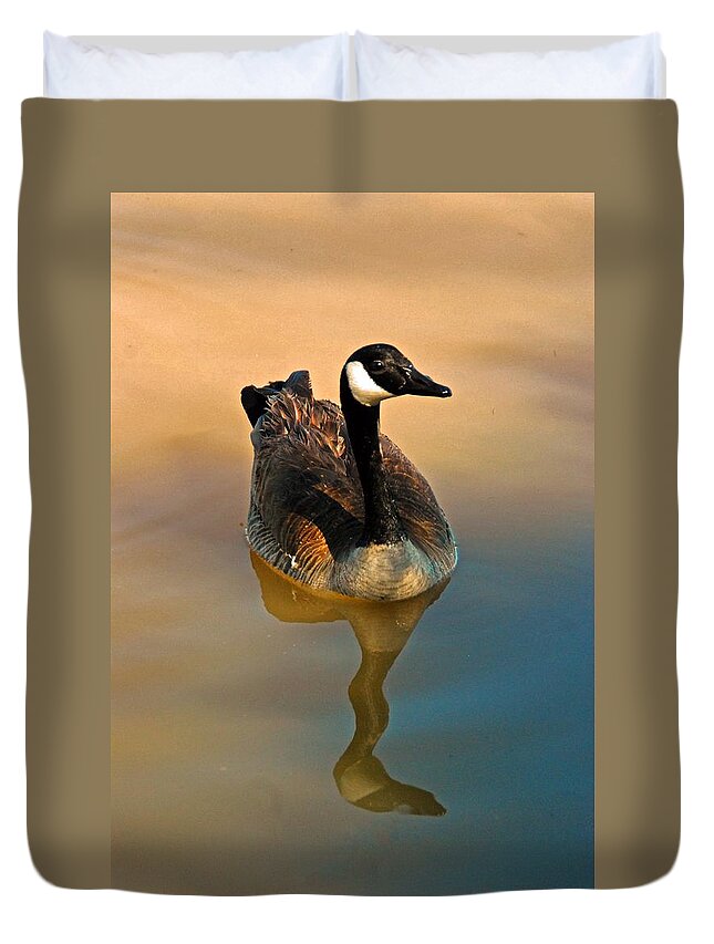 Goose Duvet Cover featuring the photograph Canada Goose by Tam Ryan