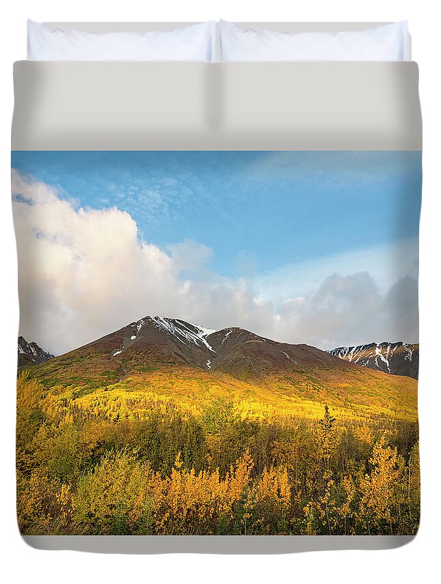 Scenics Duvet Cover featuring the photograph Canada, View Of Kluane National Park by Westend61