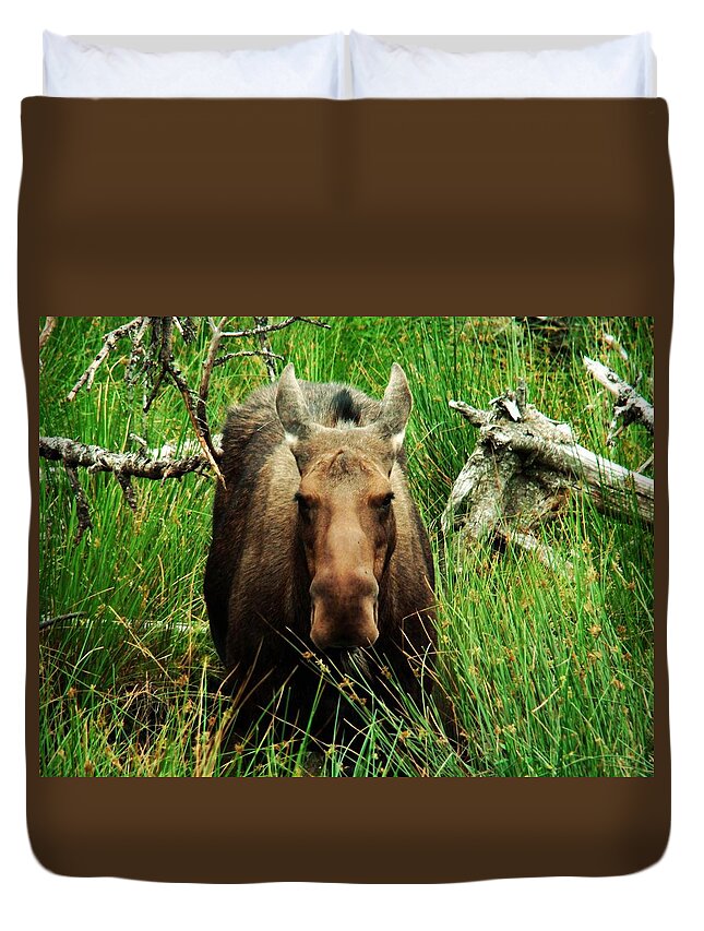 Moose Duvet Cover featuring the photograph Canadian Moose by Zinvolle Art
