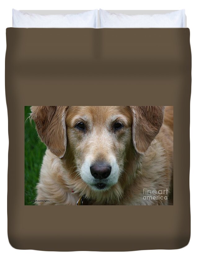 Dog Duvet Cover featuring the photograph Canine Close Up by Veronica Batterson