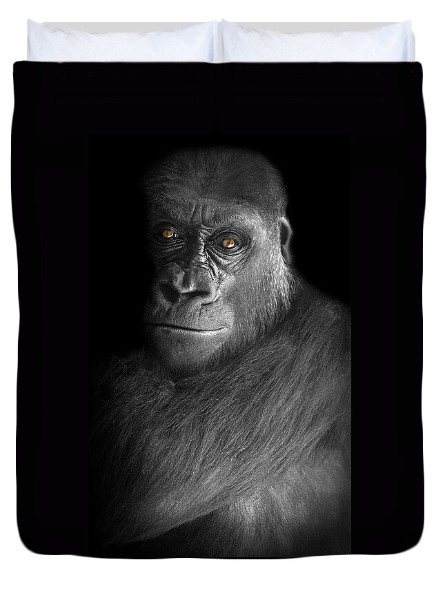 Gorilla Duvet Cover featuring the photograph Can't Escape by Diana Angstadt