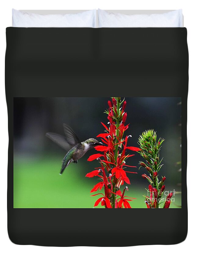 Ruby Throated Hummingbird Duvet Cover featuring the photograph Can't Get Enough by Judy Wolinsky