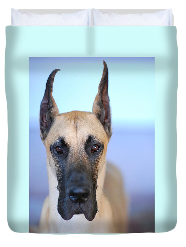 Animal Duvet Cover featuring the photograph Cappy by Lisa Phillips