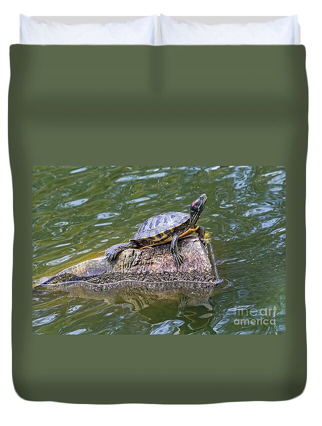 Animal Duvet Cover featuring the photograph Captain Turtle by Kate Brown