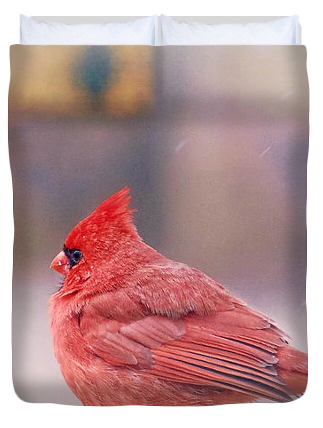 Cardinal Birds Duvet Cover featuring the photograph Cardinal Bird by Peggy Franz