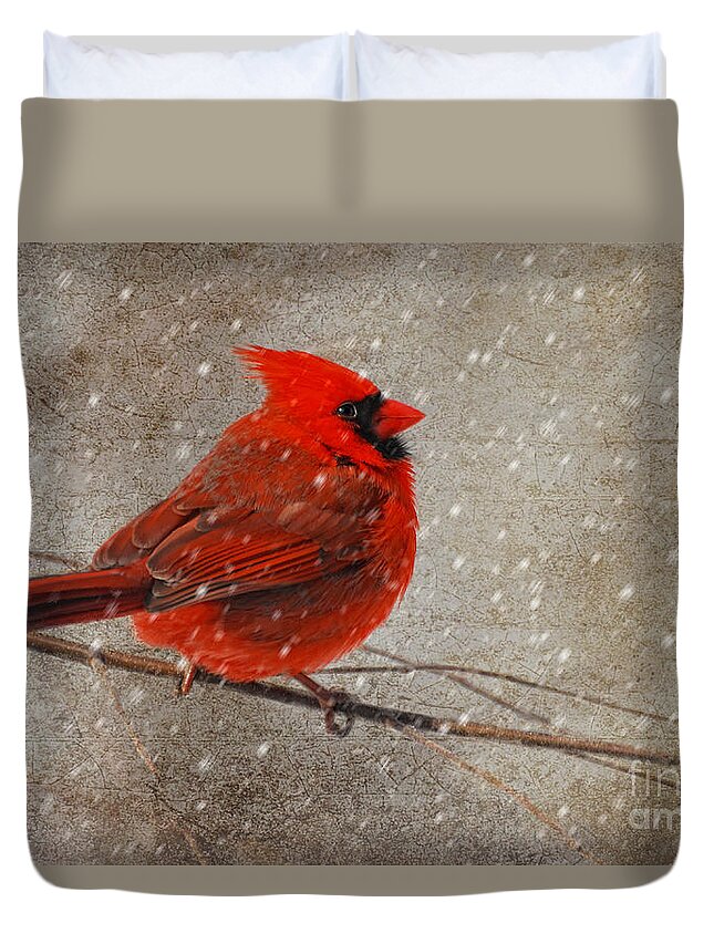 White Christmas Duvet Cover featuring the photograph Cardinal in Snow by Lois Bryan