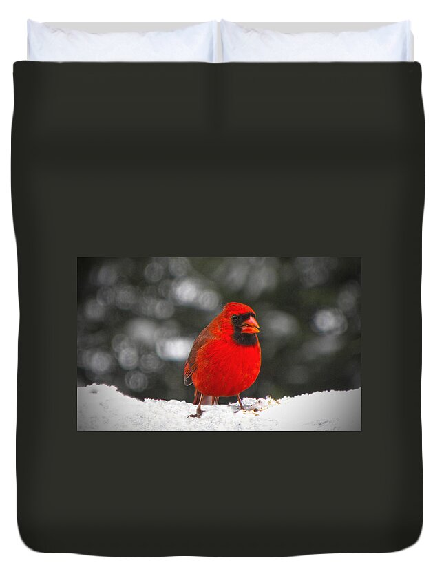Cardinal Duvet Cover featuring the photograph Cardinal In The Snow by Sandi OReilly
