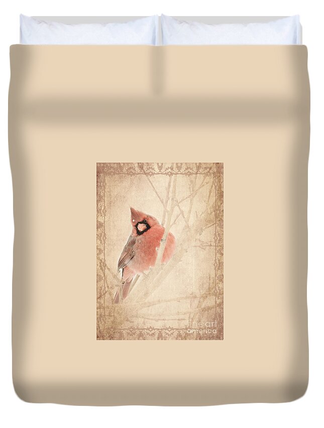 Cardinal Duvet Cover featuring the photograph Cardinal by Pam Holdsworth