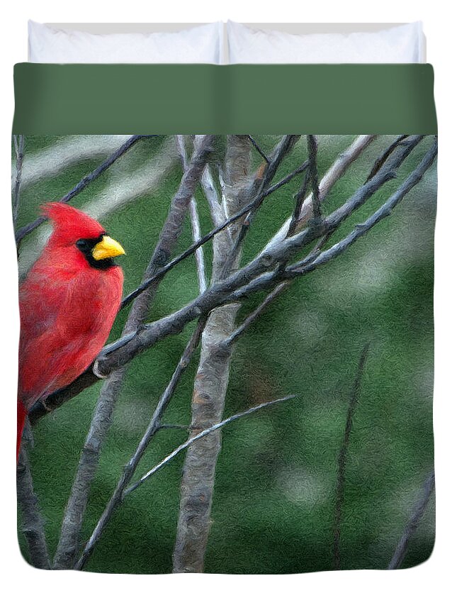 Animal Duvet Cover featuring the painting Cardinal West by Jeffrey Kolker