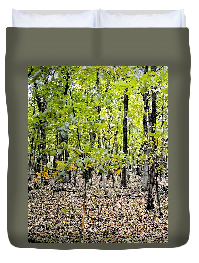 Forest Duvet Cover featuring the photograph Carpet Of Leaves Panel 1 by Bonfire Photography