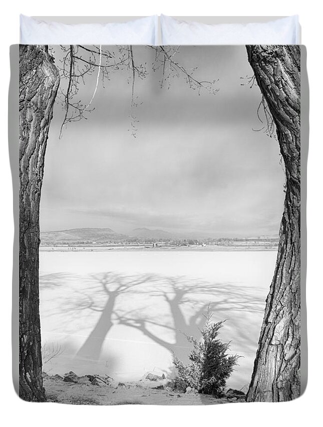 Cottonwood Trees Duvet Cover featuring the photograph Casting Big Shadows Black and White by James BO Insogna