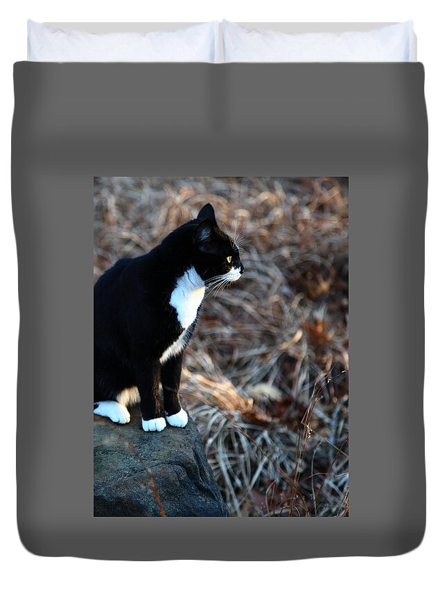 Cat Duvet Cover featuring the photograph Cat at Sunrise by Michael Dougherty
