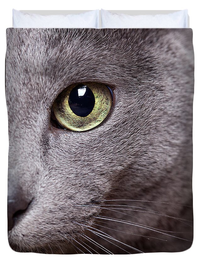 Cat Duvet Cover featuring the photograph Cat Eye by Nailia Schwarz