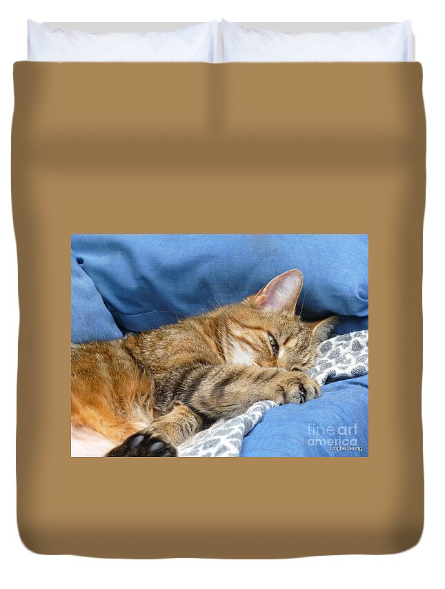 Sleepy Cat Duvet Cover featuring the photograph Cat Nap by Lingfai Leung