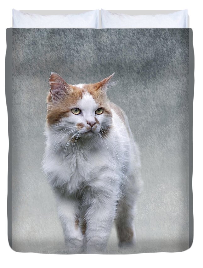 Cat Duvet Cover featuring the photograph Cat on texture - 01 by Raffaella Lunelli