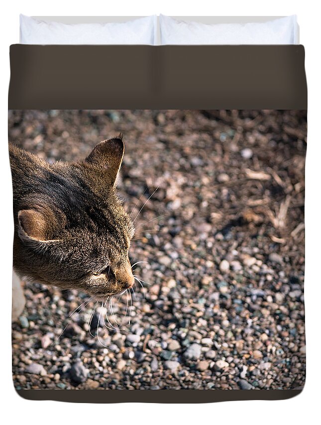 Cat Duvet Cover featuring the photograph Cat On The Prowl by Holden The Moment