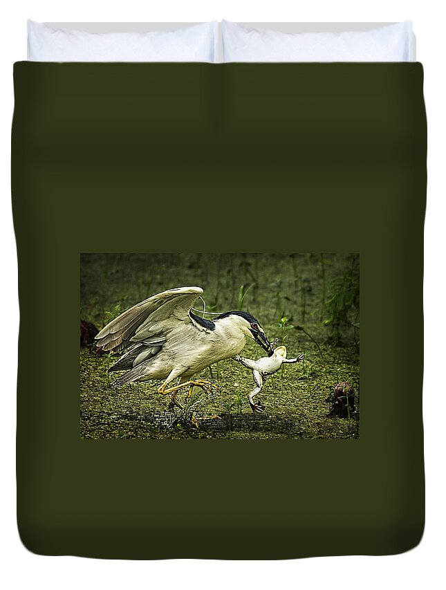 Black-crowned Night Heron Duvet Cover featuring the photograph Catching Supper by Priscilla Burgers
