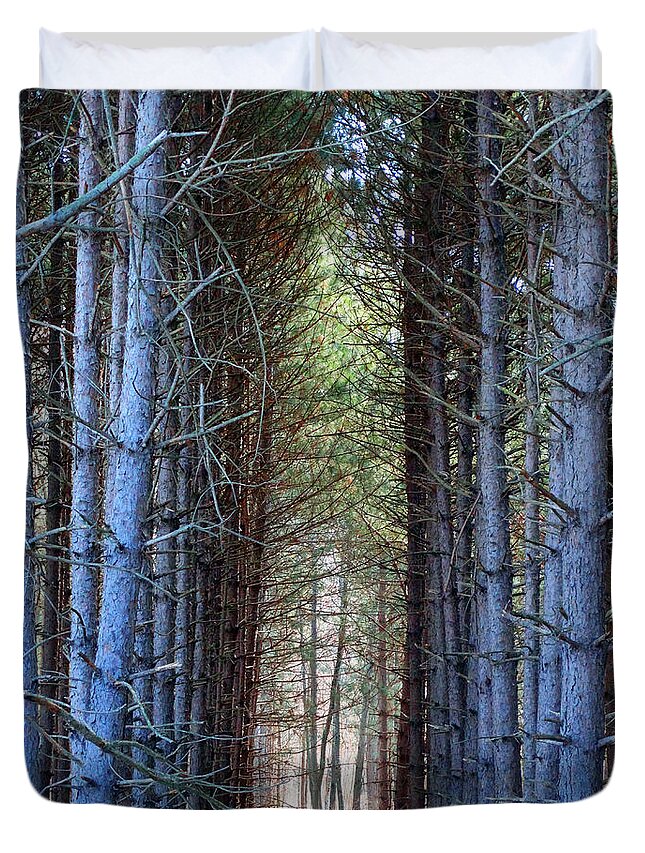 Pines Duvet Cover featuring the photograph Cathedral of Pines by David T Wilkinson