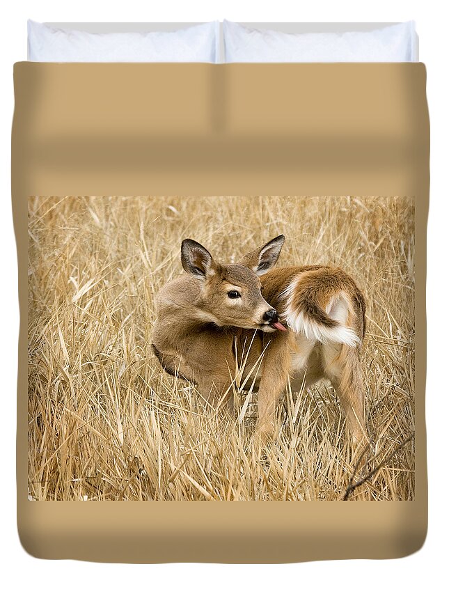 Whitetail Duvet Cover featuring the photograph Caught In The Act by Paul DeRocker