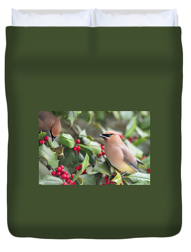 Cedar Waxwing In Holly Tree Duvet Cover featuring the photograph Cedar Waxwing in Holly Tree by Terry DeLuco
