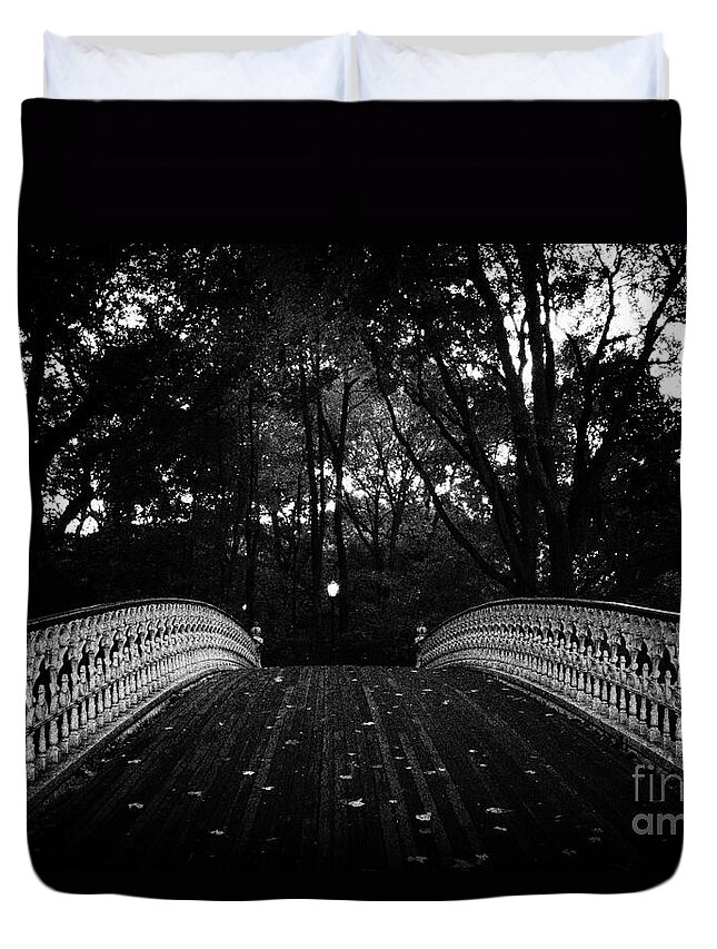 Filmnoir Duvet Cover featuring the photograph Central Park New York City by Sabine Jacobs