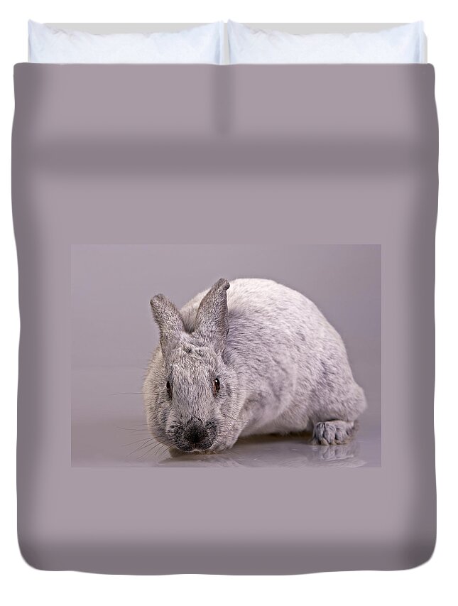 Mammal Duvet Cover featuring the photograph Champagne D'Argent by Jack Milchanowski