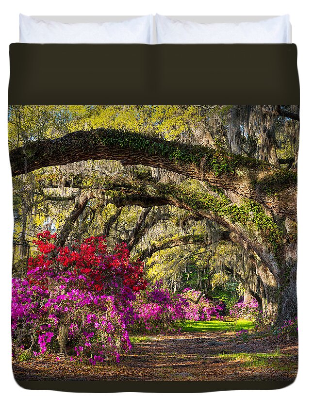 Charleston Duvet Cover featuring the photograph Charleston SC Spring Azalea Flowers - A Servant's Grace by Dave Allen