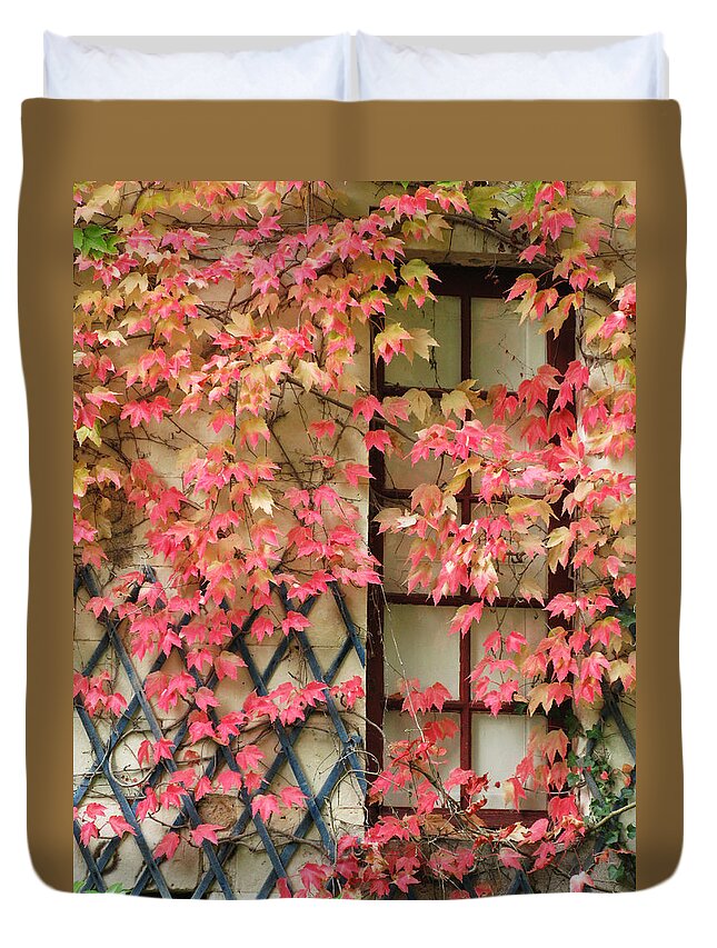 Fall Leaves Duvet Cover featuring the photograph Chateau Chenonceau Vines on Wall Image Two by Randi Kuhne