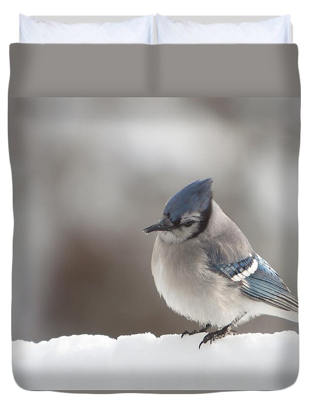 Salem Duvet Cover featuring the photograph Checking for missed seeds by Jeff Folger