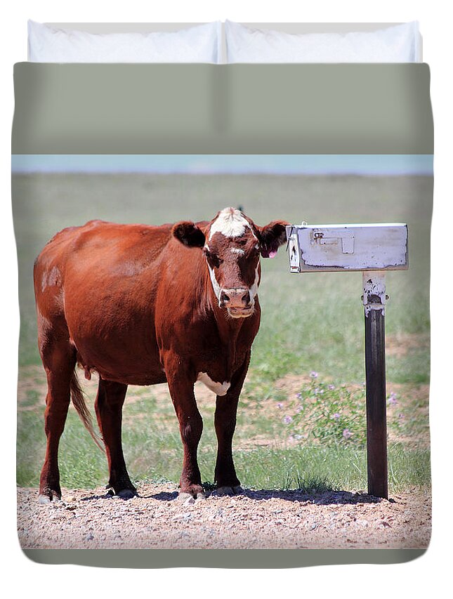 Cow Duvet Cover featuring the photograph Checking The Mail by Shane Bechler