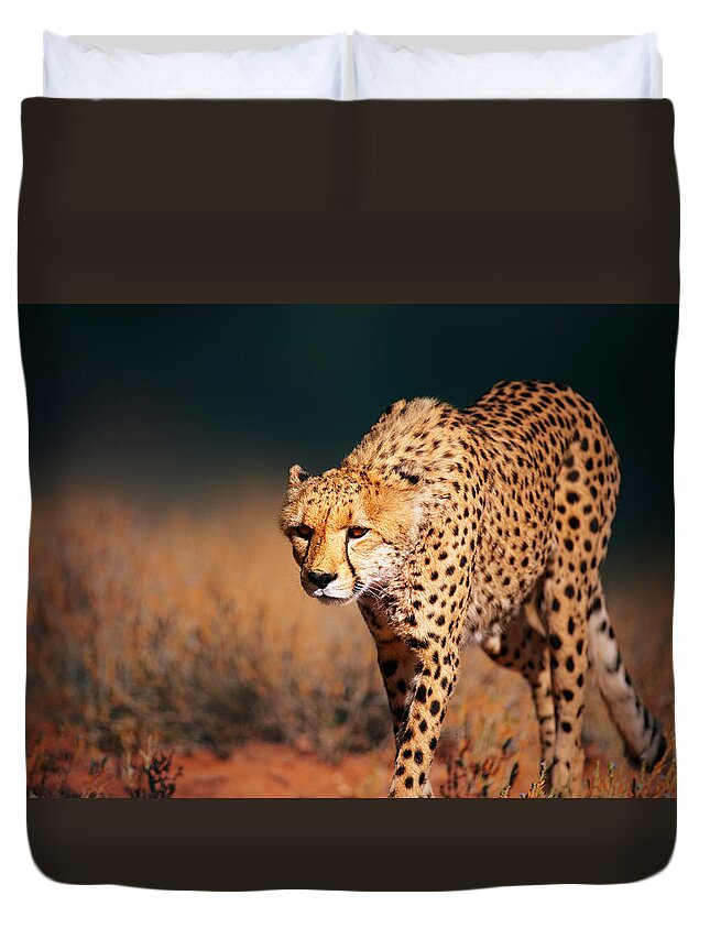 Cheetah Duvet Cover featuring the photograph Cheetah approaching from the front by Johan Swanepoel