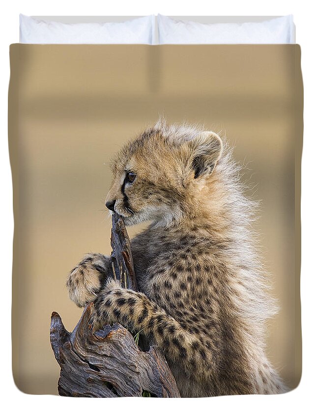 Suzi Eszterhas Duvet Cover featuring the photograph Cheetah Cub Maasai Mara Reserve by Suzi Eszterhas