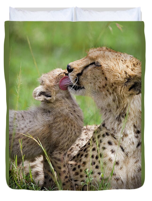 00761467 Duvet Cover featuring the photograph Cheetah Grooming Her Cub by Suzi Eszterhas