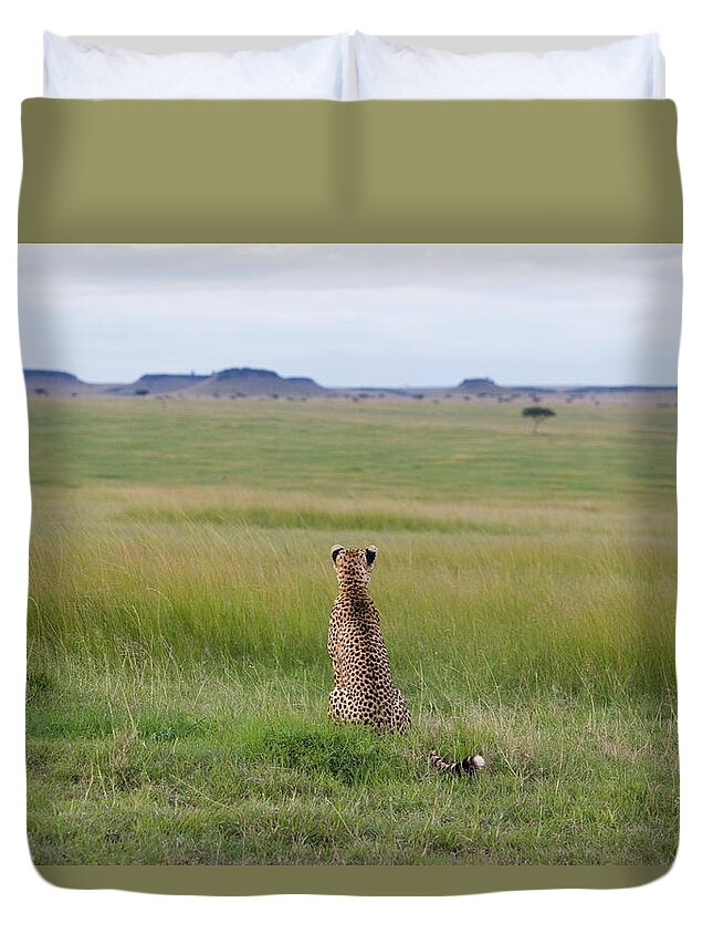 00761700 Duvet Cover featuring the photograph Cheetah Looking Across the Savanna by Suzi Eszterhas