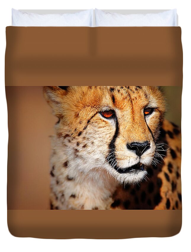 #faatoppicks Duvet Cover featuring the photograph Cheetah portrait by Johan Swanepoel