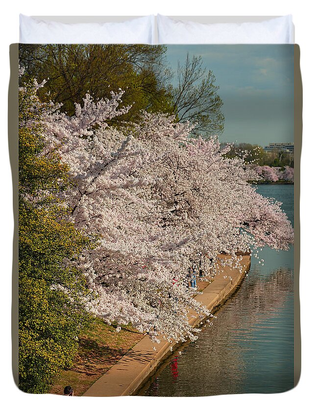 Architectural Duvet Cover featuring the photograph Cherry Blossoms 2013 - 053 by Metro DC Photography