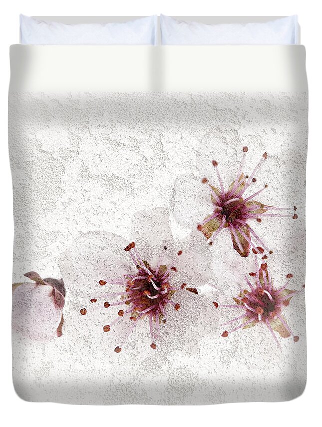 Cherry Duvet Cover featuring the photograph Cherry blossoms close up by Elena Elisseeva