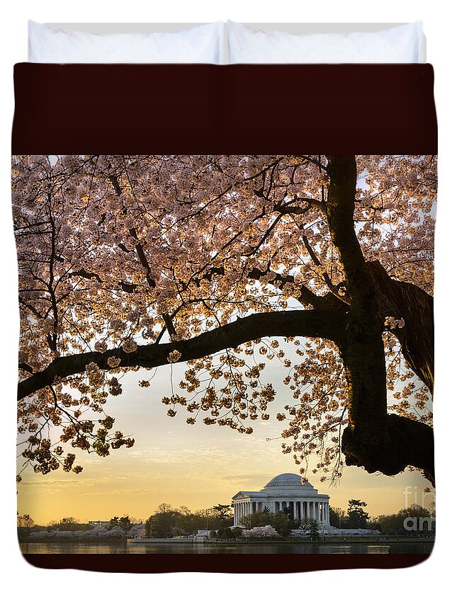 American Culture Duvet Cover featuring the photograph Cherry blossoms frame the Jefferson Memorial by Oscar Gutierrez